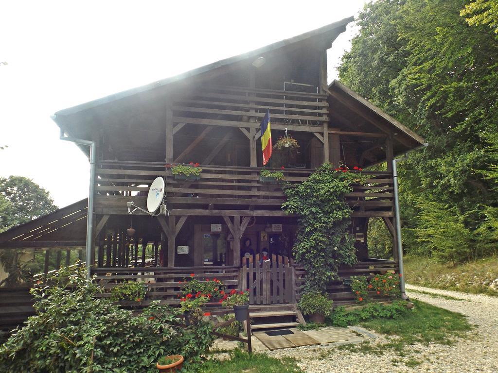 Cabana La Noi Rasnov Exterior foto