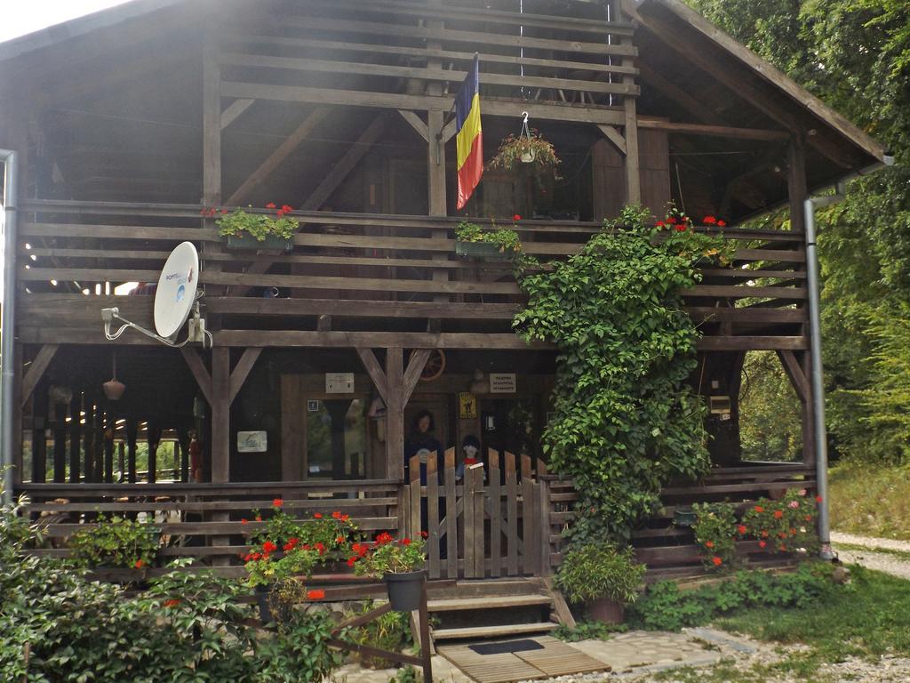 Cabana La Noi Rasnov Exterior foto