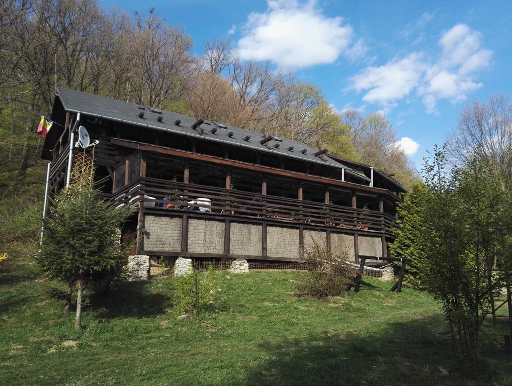 Cabana La Noi Rasnov Exterior foto