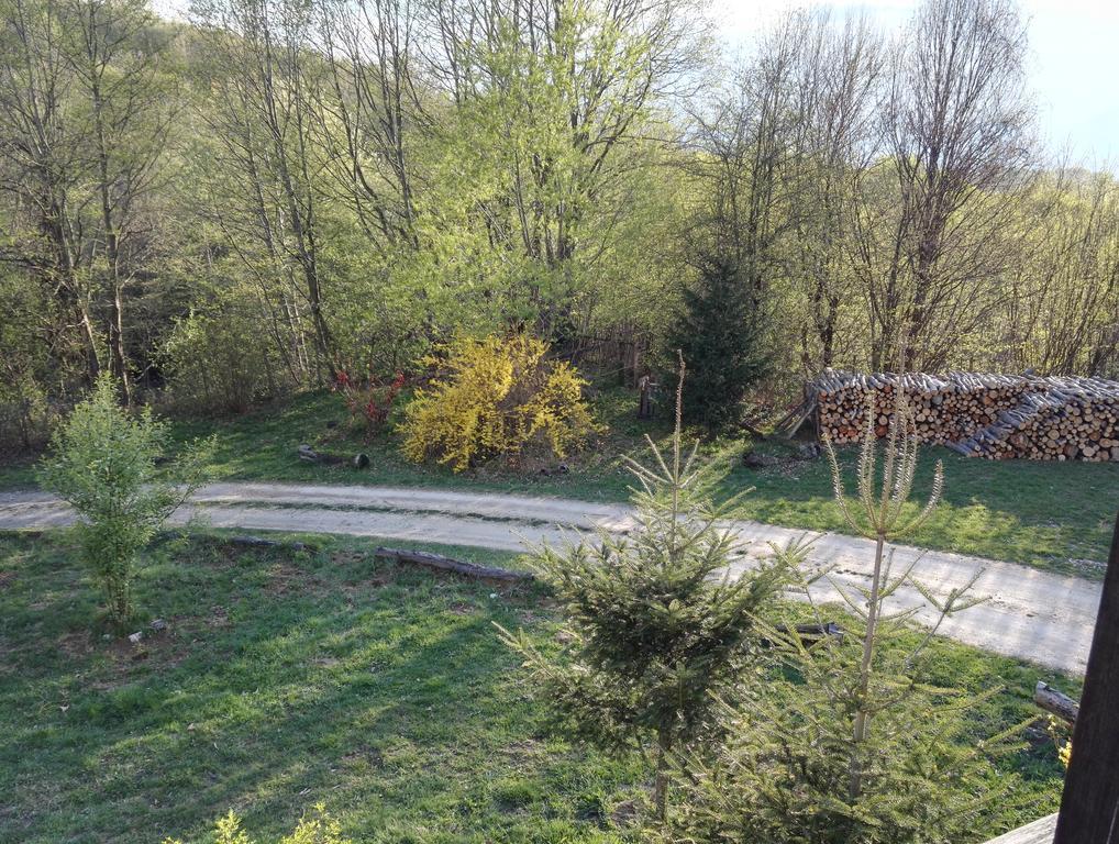 Cabana La Noi Rasnov Exterior foto