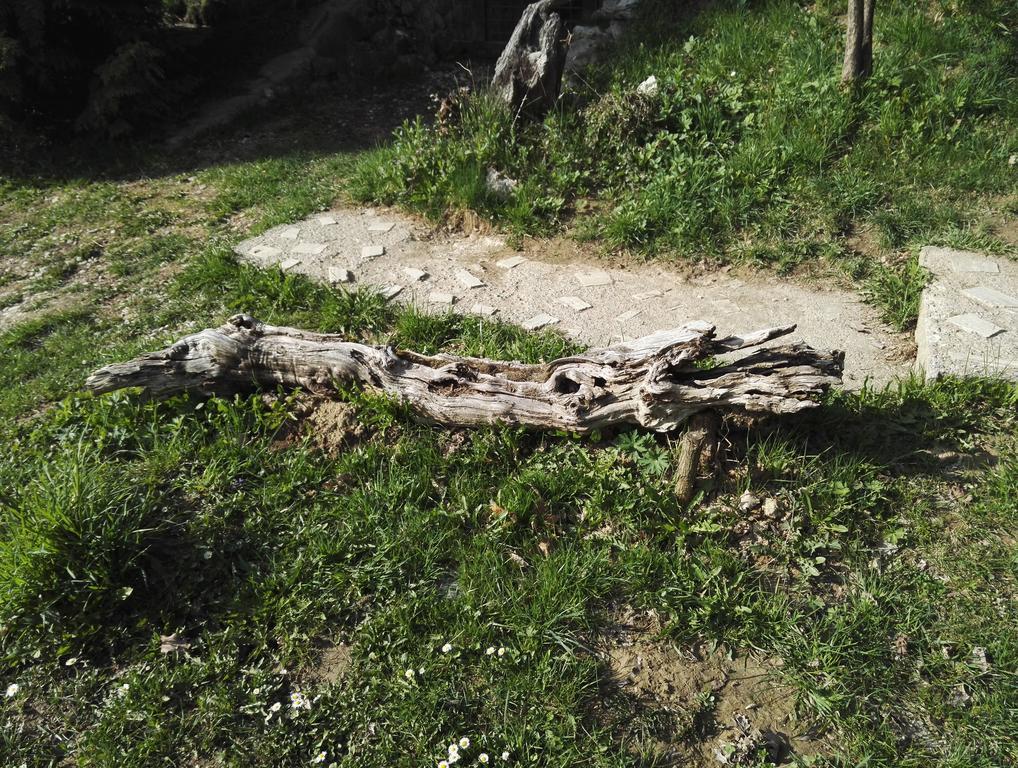 Cabana La Noi Rasnov Exterior foto
