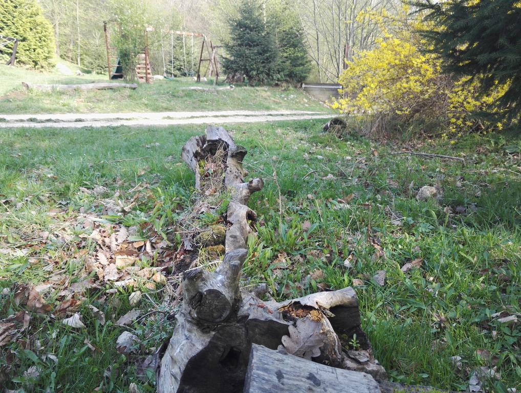 Cabana La Noi Rasnov Exterior foto