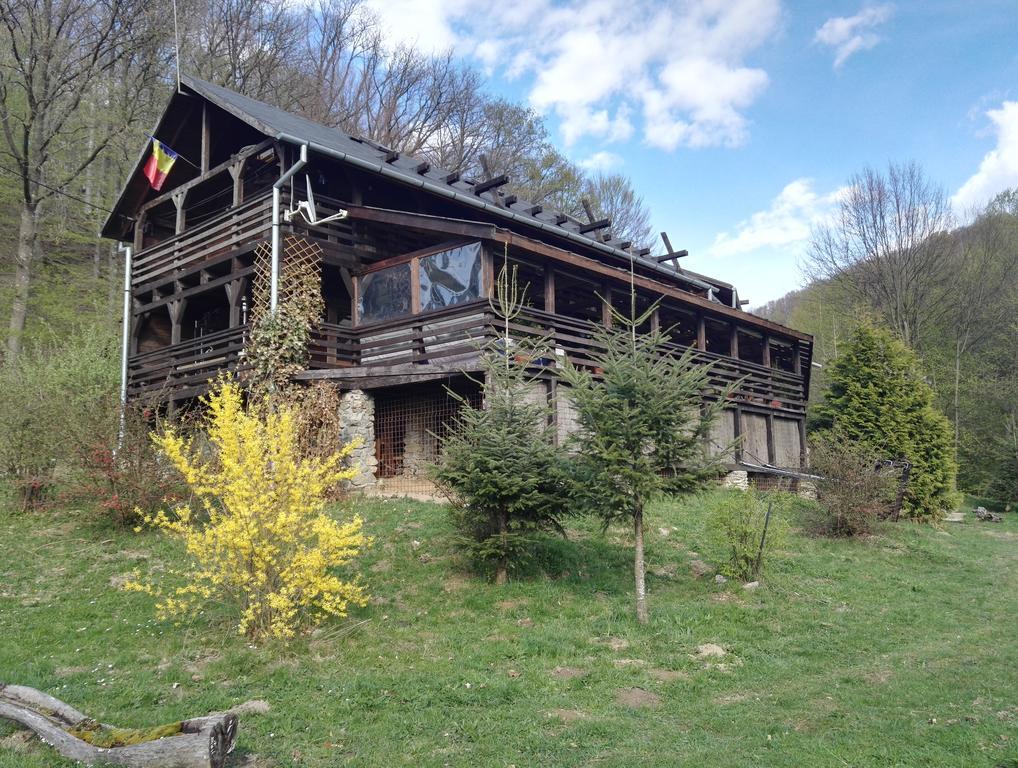Cabana La Noi Rasnov Exterior foto